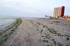 Se aleja el mar también en las playas de Veracruz