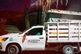 Brigadas de vectores recorren colonias con alto riesgo de proliferación del mosquito.