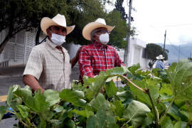 Impulsan la siembra de higo en la Región Sureste de Coahuila