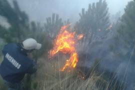 Reportan dos incendios en el Parque Nacional Pico de Orizaba