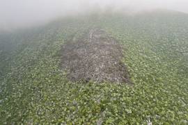 El incendio fue reportado el fin de semana en Villaldama, Nuevo León, y efectó una hectárea, reportó PCNL