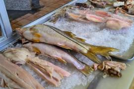 Ofertas de mariscos en comercios locales, buscan atraer a clientes que priorizan precios accesibles durante la temporada de Cuaresma.