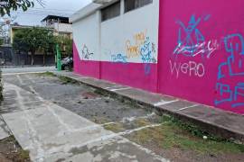 Las paredes del centro comunitario aparecen nuevamente grafiteadas, pese a haber sido repintadas para el evento oficial.