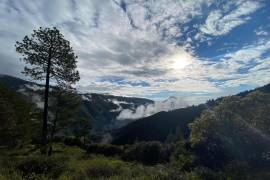 Sierra de la Marta, Arteaga, Coahuila.