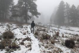 La nevada cayó en el Cerro del Potosí, en Galeana, Nuevo León
