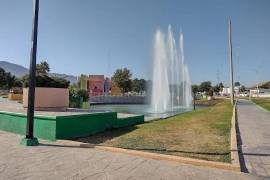 La Dirección de Salud Pública refuerza acciones contra plagas en espacios públicos para prevenir riesgos sanitarios.