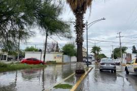 “Lluvias dan tregua a sequía que se vivía en la Región Centro de Coahuila”