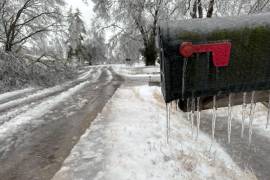 La tormenta se movió hacia el noreste el domingo, y se esperaba que dejara caer alrededor de 30 a 60 centímetros de nieve desde Washington hasta Nueva York y Boston. FOTO: