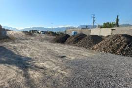 La organización vecinal solicitará una inspección de la Procuraduría de Protección al Medio Ambiente para que se establezcan medidas de protección.