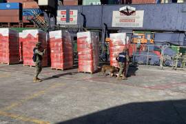También se logró el decomiso de 10 kilos de fentanilo en la Aduana de Tijuana, Baja California.