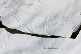 Iceberg de 160 kilómetros comienza a deshacerse en la Antártida