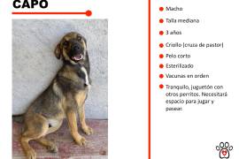 Lo que hay detrás del aparador