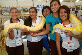 Resalta pitón de 4 metros en la Expo AgroIndustrial