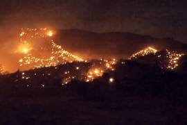 Planta de Luz solar provoca incendio forestal en Coahuila