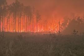 EL incendio de Pineland Road en el condado de Clinch, Georgia. El fuego tuvo una rápida propagación destruyendo más de 120 viviendas.