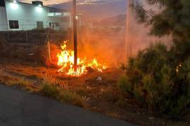 Autoridades recibieron el reporte por parte de vecinos.