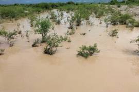 Protección Civil reportó alrededor de 45 milímetros de lluvia durante la tormenta registrada este día en la región.