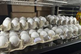 La empresa Midwest Poultry Services ha retirado del mercado aproximadamente 1.5 millones de docenas de huevos blancos y marrones producidos en Texas, Estados Unidos.