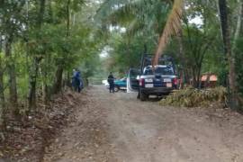 Hallan a cuatro ejecutados dentro de camioneta en Oaxaca; dos son niños