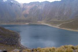 Peligra abastecimiento de agua por tala comercial en Nevado de Toluca: experto