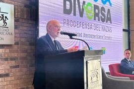 González Alcántara Carrancá explicó que la resolución de la SCJN sobre el acuífero de La Laguna establece principios como el de precaución y la gestión sustentable intergeneracional en materia ambiental.