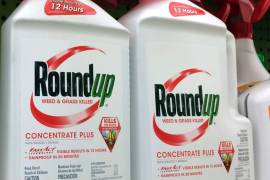 Juez estadounidense abre camino a proceso contra Monsanto en San Francisco