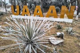 La UAAAN ha recuperado cinco de 17 predios invadidos en el campus Buenavista mediante procesos legales.
