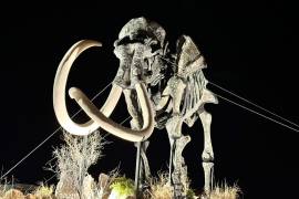 El majestuoso Mamut Colombino en el parque Mina de Mármol, Cuatro Ciénegas, se erige como una pieza única que cautiva a los visitantes.