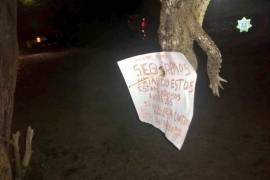 Profepa investiga 'ejecución' de cocodrilo en Puerto Vallarta