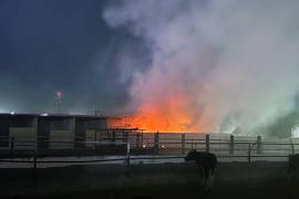 En lo que va del año, las autoridades han detenido a seis personas por su presunta responsabilidad en incendios ocurridos en Saltillo.