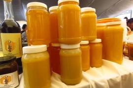Reportan que incrementa México producción de miel