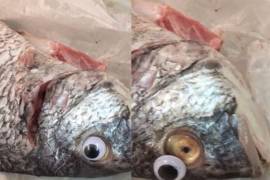 Venden pescado con ojos falsos para ocultar su mal estado