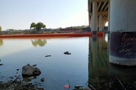 La infraestructura fronteriza podría alterar el flujo del agua y afectar la vegetación y fauna del río Bravo.