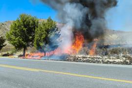 Más de mil incendios han sido reportados en Saltillo en lo que va del año, muchos de ellos provocados de manera intencional.