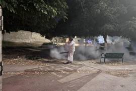 Para frenar los casos de dengue, en Torreón las labores de fumigación son permanentes.