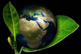 El acuerdo internacional se encuentra en fase de preparación y contempla desarrollar capacidades para producir y suministrar combustible alternativo.