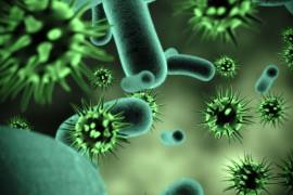 Organiza la UAdeC taller de información viral