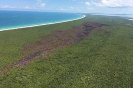 Protegida por 20 años el área afectada por incendio en Holbox