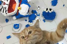 Construyó una escultura de LEGO y su gato la destruyó