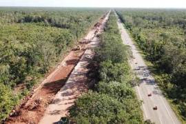 Se denuncia que más de 240 hectáreas de obras del Tren Maya ya provocaron “una devastación total de selva media y alta, que está en excelente estado de salud”.