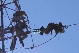 Tras el sismo de magnitud 6.5 ocurrido este 2 de enero, cuyo epicentro se localizó en San Marcos, Guerrero, la CFE informó que el movimiento telúrico provocó afectaciones al suministro eléctrico de 688 mil 546 usuarios.