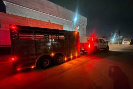 El armamento fue localizado oculto en un compartimento de la cabina de una camioneta con placas de Texas.