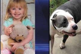 Niña de dos años es rescatada por su perrita pitbull