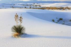 Cuatro Ciénegas se ha destacado internacionalmente al ser reconocido con el premio “Best Tourism Village” por la Organización Mundial del Turismo de la ONU.