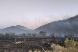 La Comisión Nacional Forestal (CNF) reportó 357 combatientes activos en los incendios de El Tunal y Múzquiz.