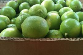 La inflación ha afectado a los productos principales de la canasta básica, convirtiendo, principalmente, vegetales como el limón en una compra “de lujo”.