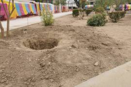 En la plaza Benjamín Canales, plantaran encinos siempre verdes como parte del programa de reforestación.