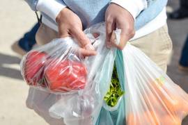 Tiendas de abarrotes, algunas de conveniencia y mercados continúan ofreciendo bolsas de plástico desechable para acarreo, carga, envoltura o empaque de productos.