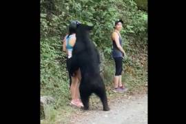 Caminantes viven momento de pánico luego de toparse con un oso en Chipinque (video)