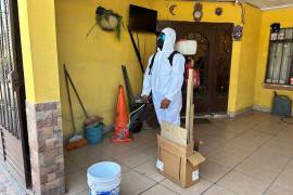 Las autoridades de salud intensifican las acciones de fumigación, luego de darse a conocer la muerte de un menor de ocho años presuntamente a causa de la rickettsia.